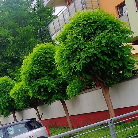 Apartment Zielone Tarasy - Amfiteatr